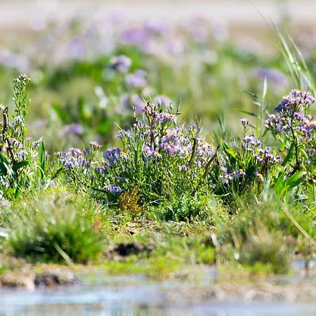 6 Person In Fano-by Traum Σπίτι διακοπών Fanø