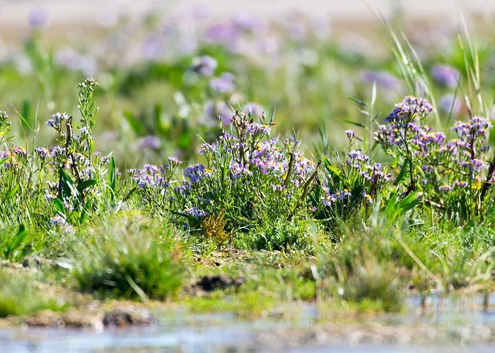 6 Person In Fano-by Traum 度假居 Fanø